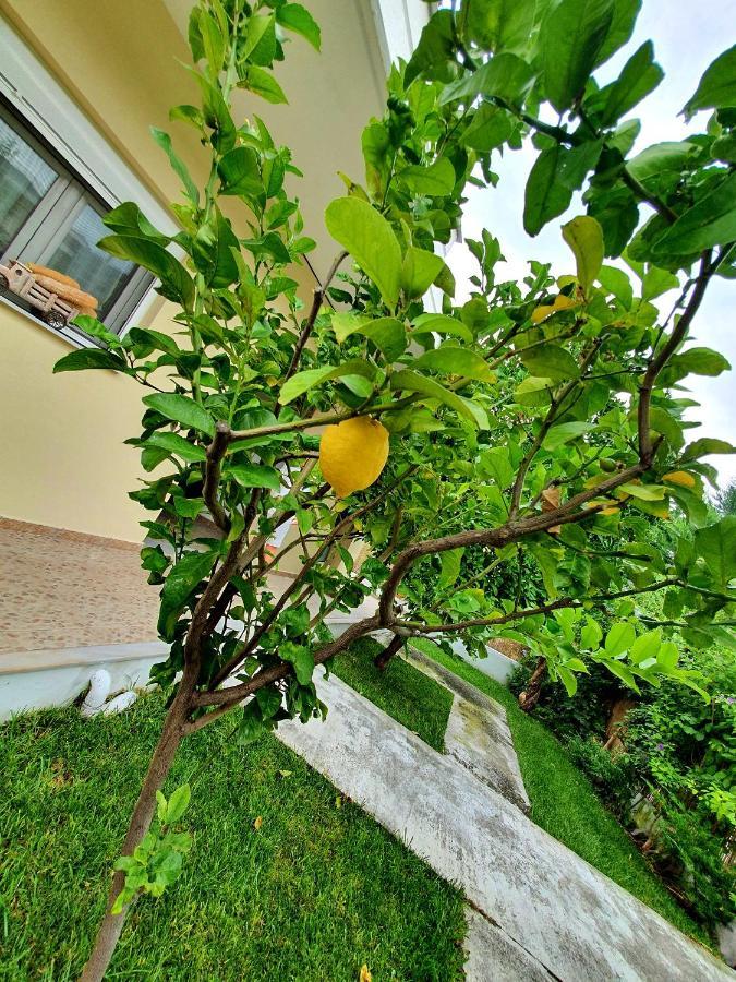 Apartamenty Rodzinne 卡梅纳维洛拉 外观 照片