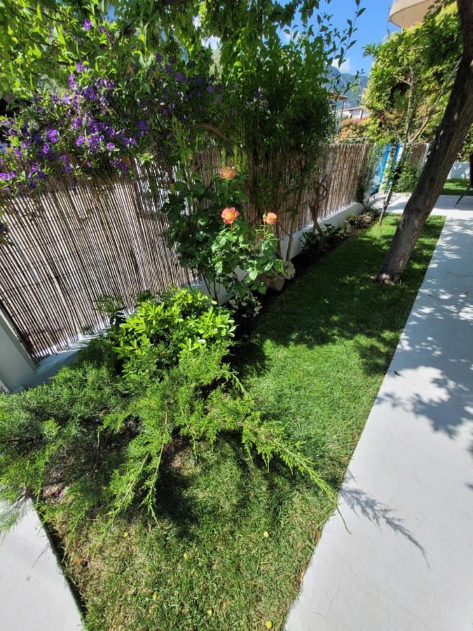 Apartamenty Rodzinne 卡梅纳维洛拉 外观 照片